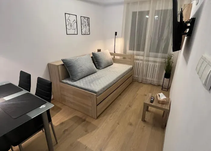 Ella - Riegrova 41 Appartement Decin